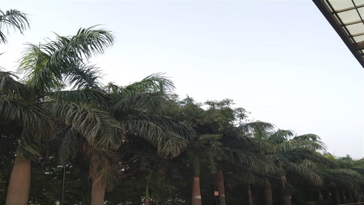 दिल्ली- बिहार सहित इन राज्यों में आज होगी बारिश मौसम विभाग का अलर्ट जारी