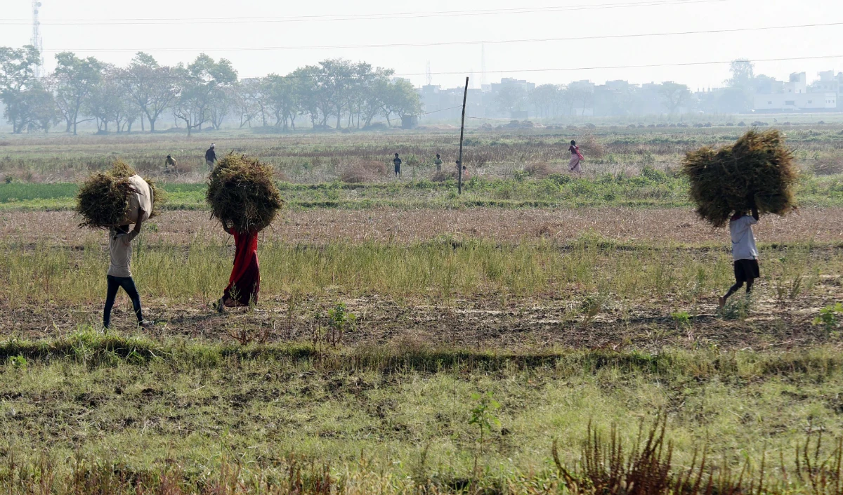 Bihar: राजस्व महा–अभियान समाप्त, आज तक आए 44 लाख 42 हजार आवेदन