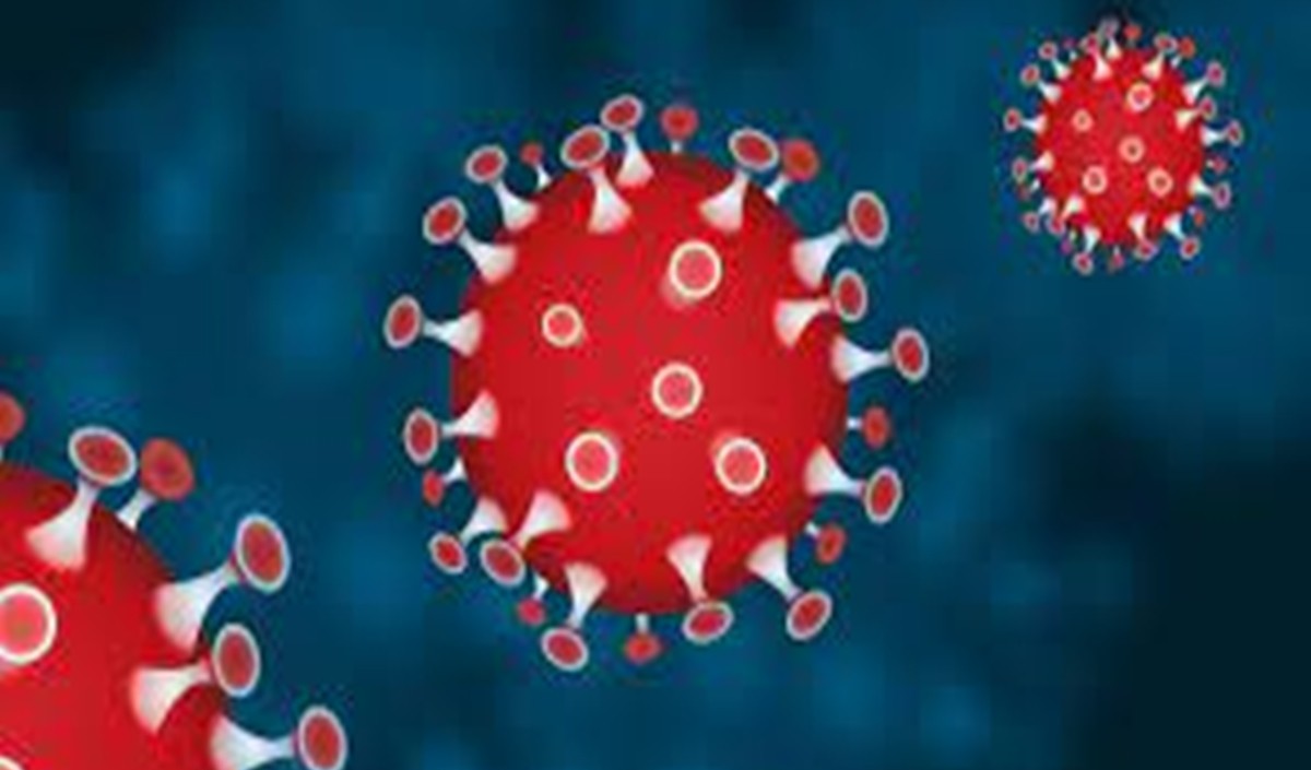 दिल्ली में कोरोना वायरस संक्रमण के 55 नए मामले संक्रमण की दर 0.09 प्रतिशत