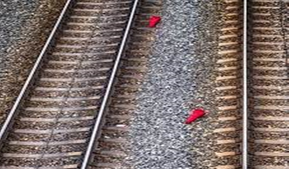 किसानों का रेल पटरियों को बाधित करना जारी पंजाब में ट्रेन यातायात प्रभावित