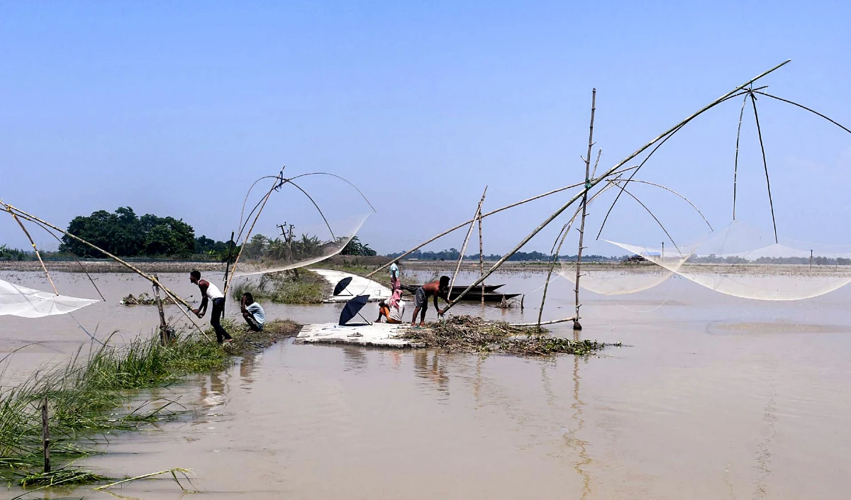 Bihar: मछली पालन के लिए राज्य सरकार दे रही है निशुल्क प्रशिक्षण
