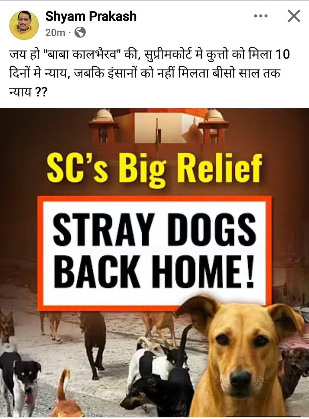 उत्तरप्रदेश - पहले स्वतंत्रदेव अब सुप्रीम कोर्ट , बीजेपी विधायक के तंज जारी हैं