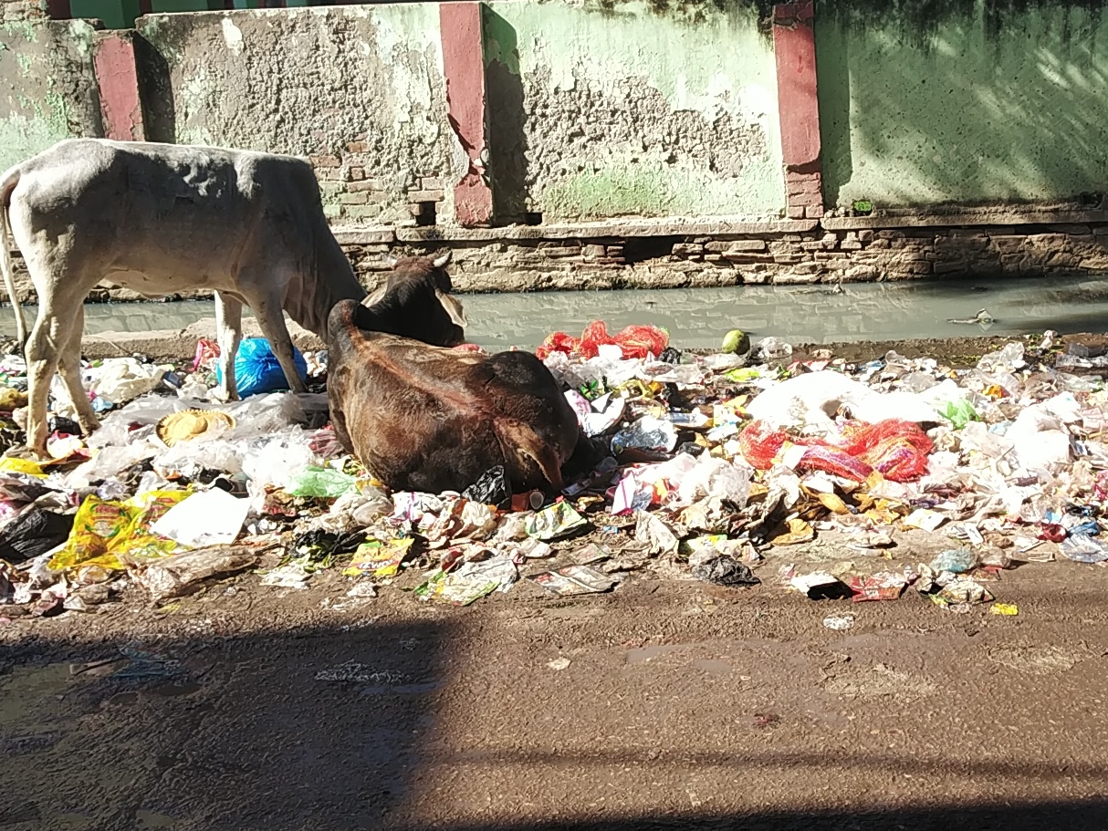 Agra: दूसरे दिन भी शहर की सफाई व्यवस्था ठप, सफाई कर्मी गिरफ्तारी की मांग पर अडे़