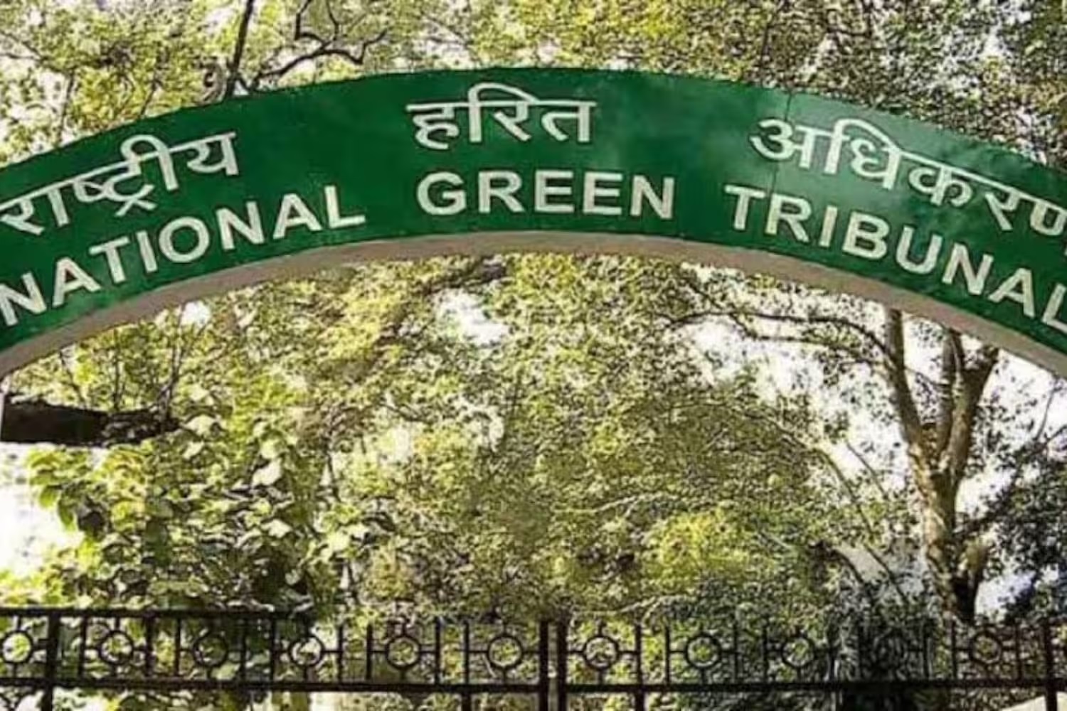 NGT: ने दिल्ली में 2019 के बाद से 20% अतिक्रमित वन भूमि खाली कराने पर नाराजगी जताई