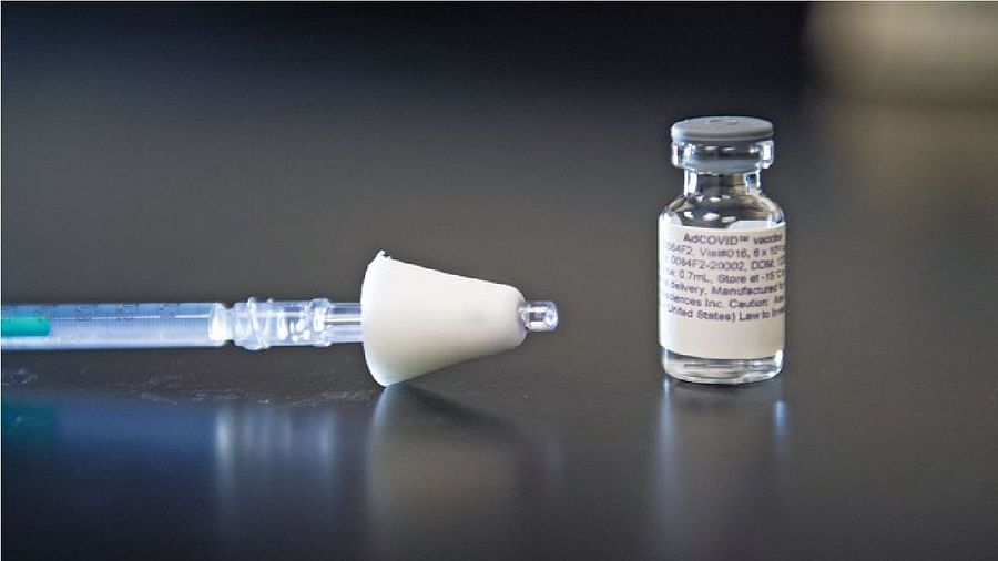 भारत बायोटेक को इंट्रानैसल वैक्सीन और बूस्टर डोज की स्टडी के लिए DCGI से मिली मंजूरी पांच हजार लोगों पर होगा ट्रायल