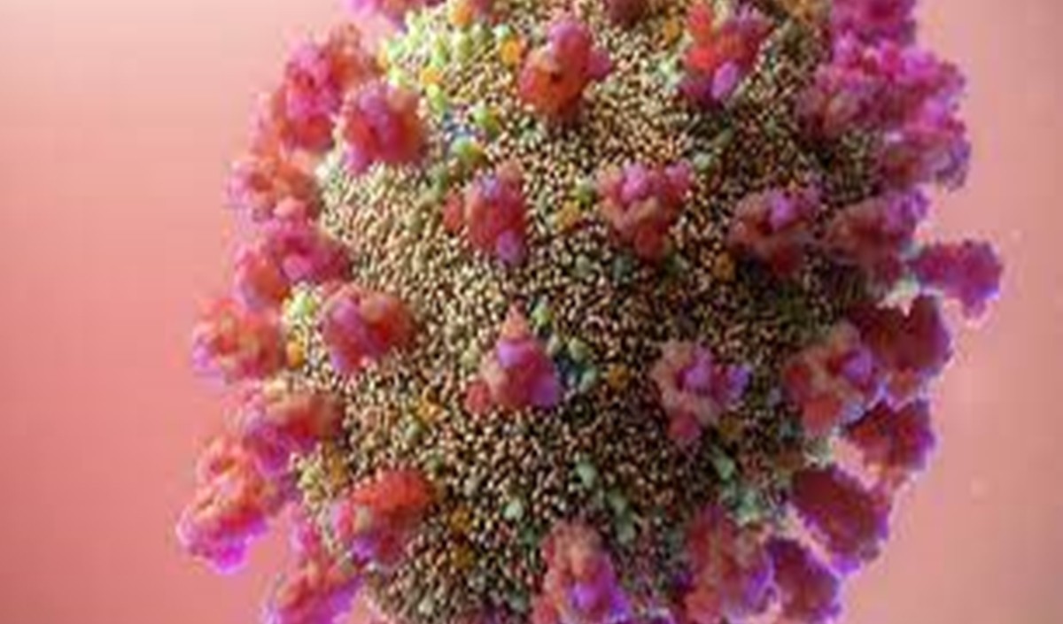 असम में कोरोना वायरस संक्रमण के 2709 नए मामले सामने आए पांच रोगियों की मौत