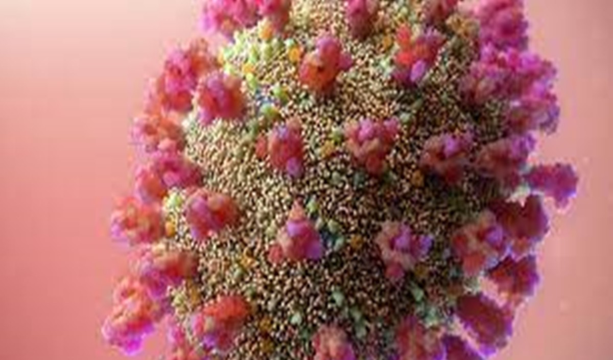 हरियाणा सरकार ने कोविड-19 संबंधी प्रतिबंधों को 10 फरवरी तक बढ़ाया