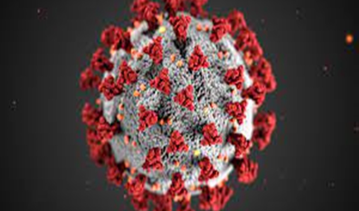 कर्नाटक में कोरोना वायरस संक्रमण के 1001 नए मामले सामने आए 18 रोगियों की मौत