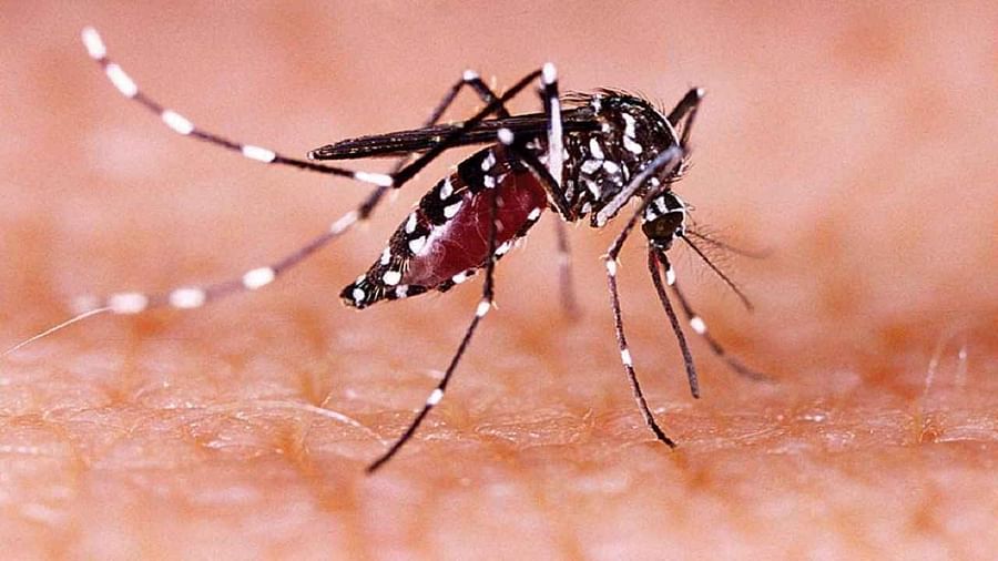 Zika Virus: लखनऊ में मिला एक और जीका वायरस का केस, तीन किलोमीटर में की जा रही ट्रेसिंग