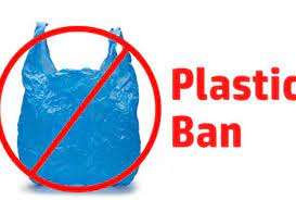 विशेषज्ञ : प्लास्टिक प्रतिबंध को सही तरह लागू करने के लिए स्थानीय संग्रह केंद्रों की जरूरत 