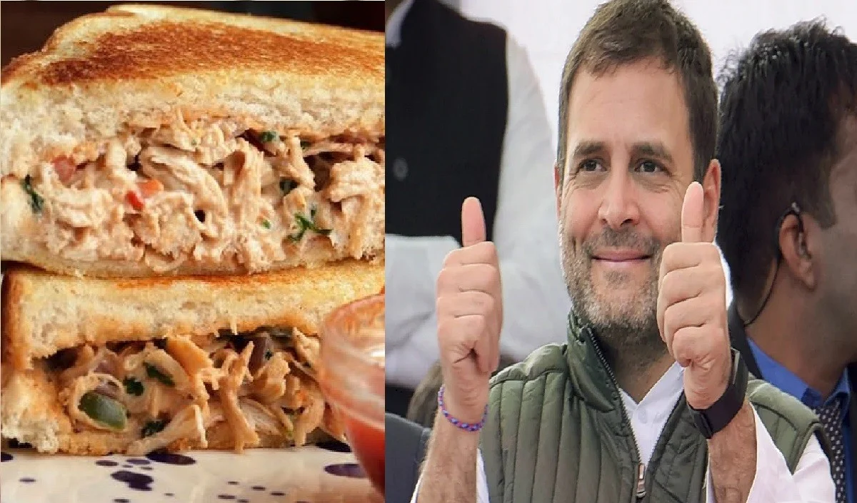 जाते-जाते कांग्रेस पर बड़ा सवाल खड़ा कर गए हार्दिक पटेल कहा- पार्टी नेताओं का ध्यान केवल राहुल के चिकन सैंडविच पर रहता है