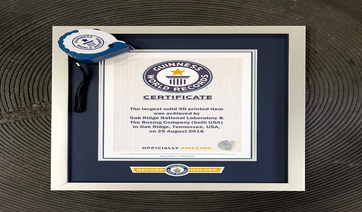 अमेरिका में भारतवंशी संगठन ने दो गिनीज वर्ल्ड रिकॉर्ड बनाने का दावा किया