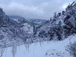 शिमला:हिमाचल के पहाड़ों पर भारी बर्फबारी,किन्नौर के छितकुल में ढाई फीट ताजा हिमपात, 481 सड़कें ​​​​​​​और 2223 ट्रांसफार्मर ठप