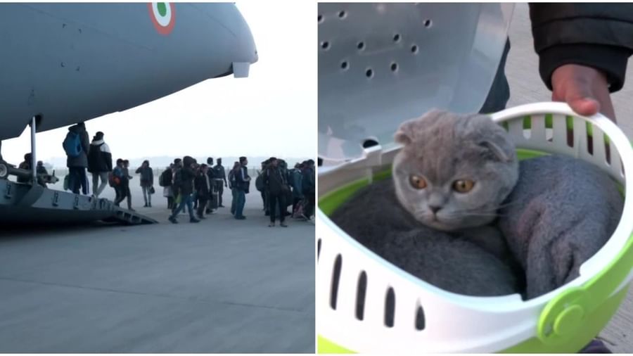 भारतीय छात्रों ने पेश की इंसानियत की मिसाल यूक्रेन से कुत्ते-बिल्लियों को भी बचाकर लाए भारत केंद्रीय मंत्री ने किया स्वागत