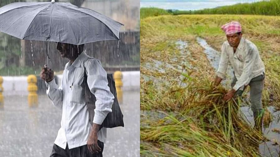 UP: तेज बारिश और आंधी की वजह से हुई अलग-अलग घटनाओं में 5 लोगों की मौत, किसानों की पकी हुई फसल को भी भारी नुकसान